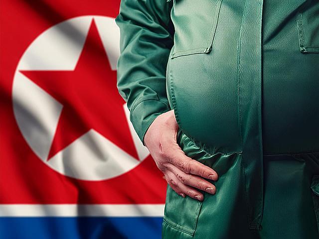 北朝鮮国旗と軍人