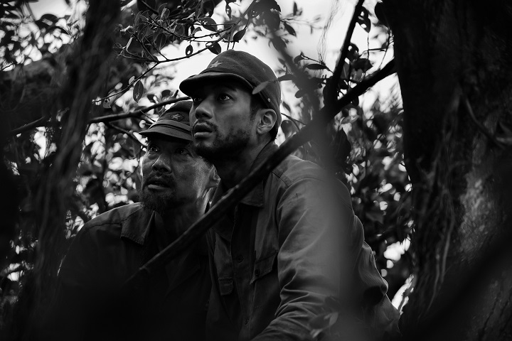 「木の上の軍隊」
