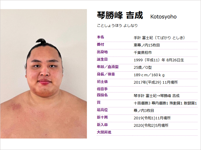 琴勝峰