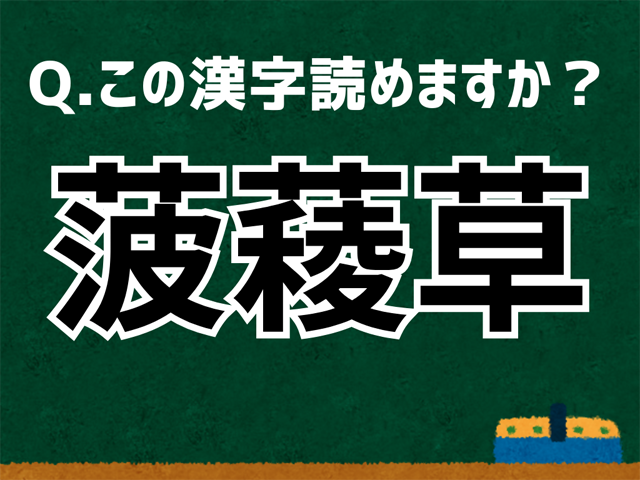 菠薐草