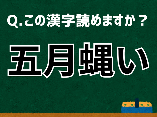 五月蝿い