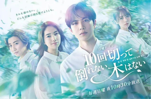 日本テレビ公式サイトより