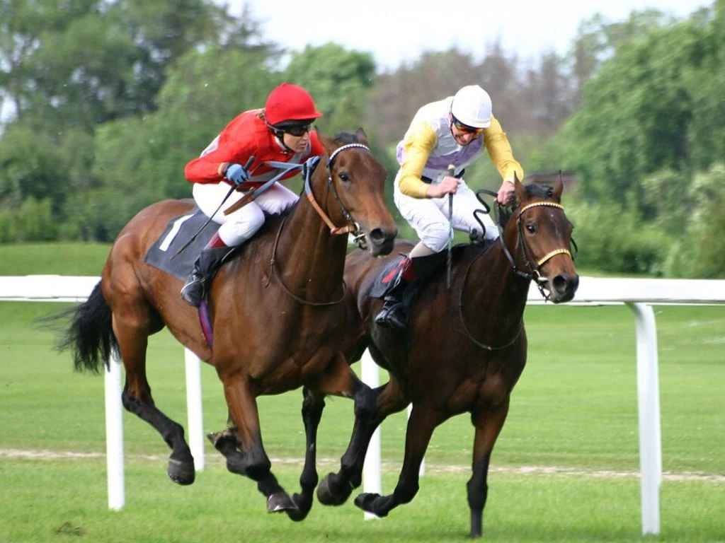 競馬