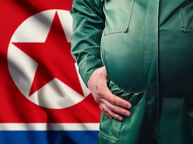 北朝鮮国旗と軍人