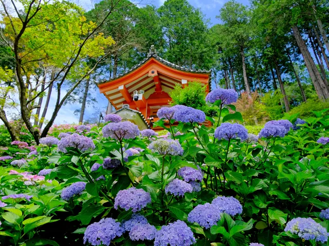 三室戸寺