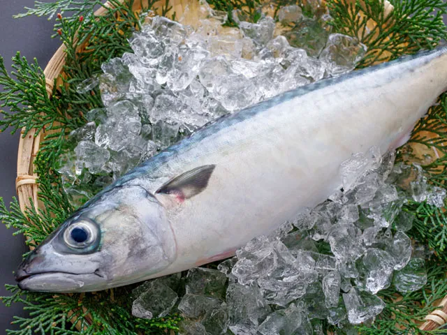 サバ