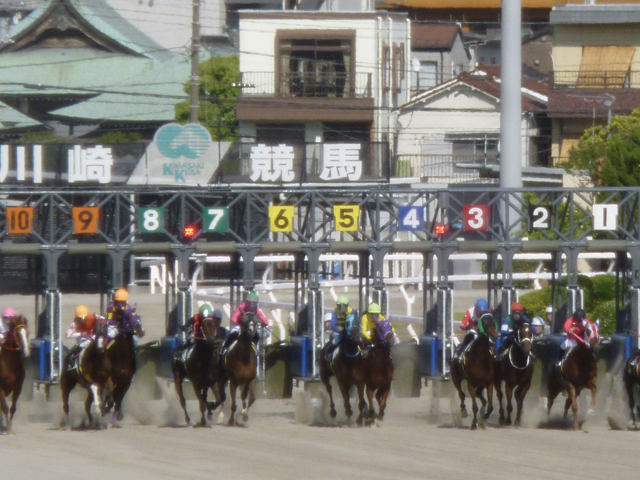 川崎競馬