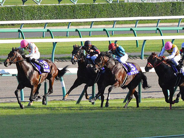 競馬