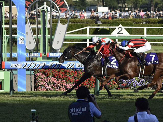 競馬
