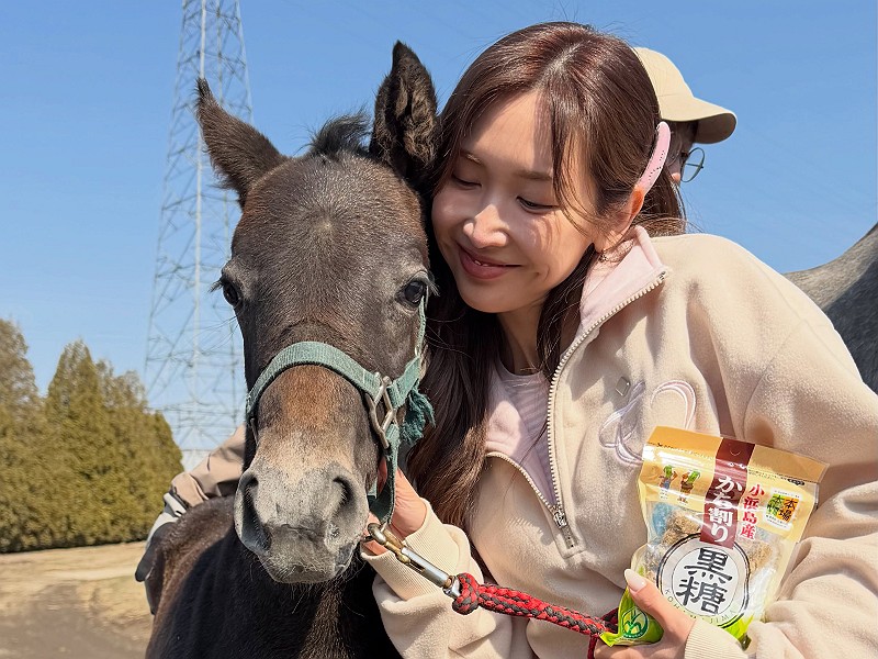紗栄子