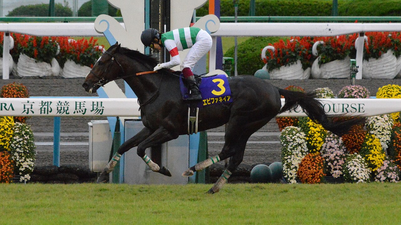 競馬