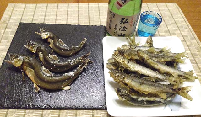 塩焼きと天ぷら　日本全国☆釣り行脚