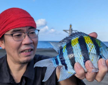 日本全国釣り行脚