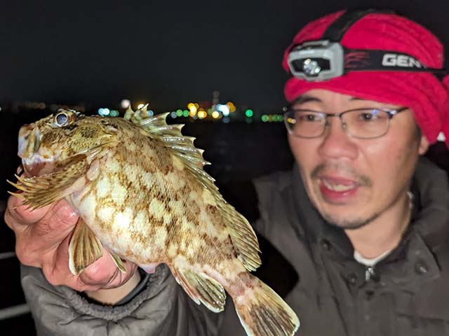 カサゴ　日本全国釣り行脚